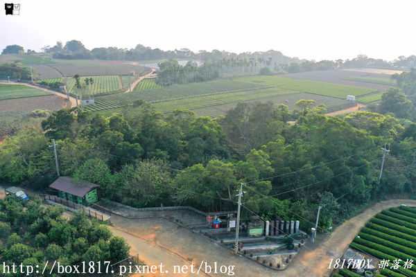 【南投。名間】七星陣地公園。軍事防空碉堡。結合軍武火炮設施。欣賞「茶的故鄉」松嶺茶園風光