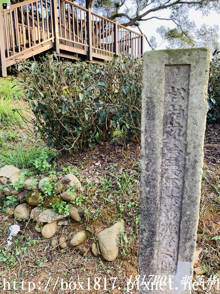 【南投。名間】七星陣地公園。軍事防空碉堡。結合軍武火炮設施。欣賞「茶的故鄉」松嶺茶園風光