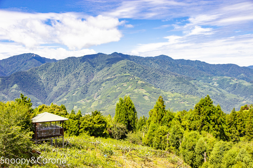 【桃園住宿】拉拉山住宿推薦/拉拉山和風山莊/烤肉民宿推薦~浪漫歐式白色木屋,一年四季皆有不同美景