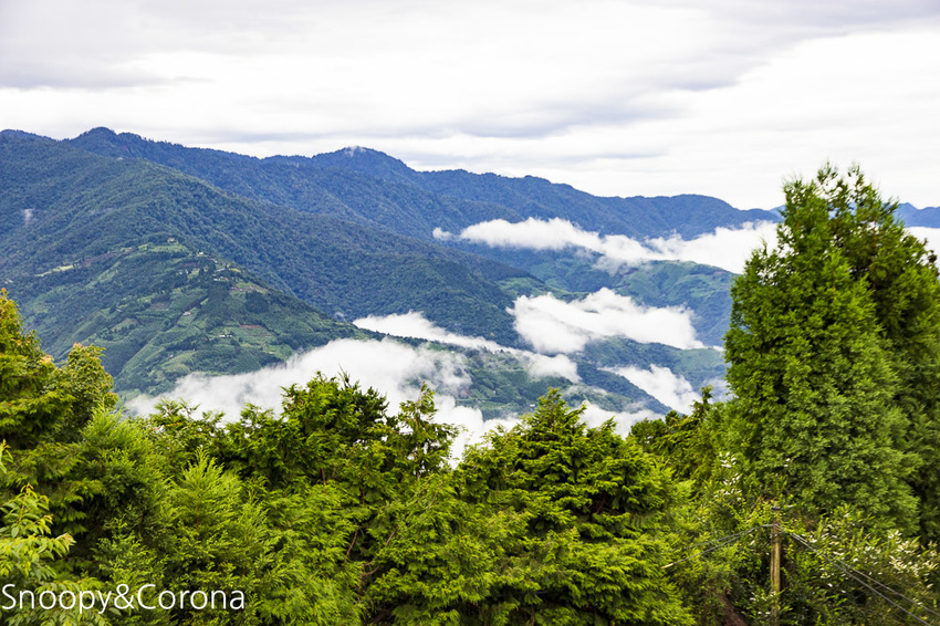 【桃園住宿】拉拉山住宿推薦/拉拉山和風山莊/烤肉民宿推薦~浪漫歐式白色木屋,一年四季皆有不同美景