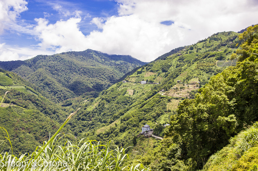 【桃園住宿】拉拉山住宿推薦/拉拉山和風山莊/烤肉民宿推薦~浪漫歐式白色木屋,一年四季皆有不同美景