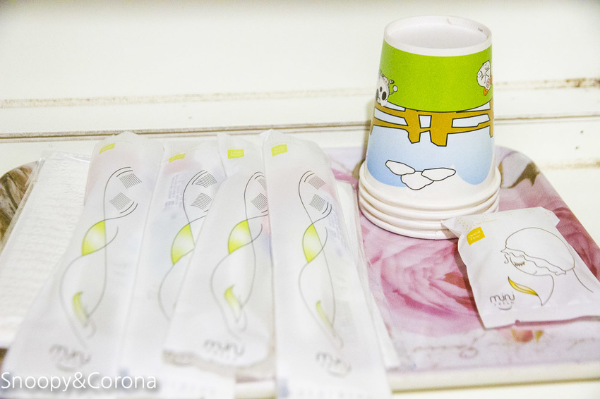 【桃園住宿】拉拉山住宿推薦/拉拉山和風山莊/烤肉民宿推薦~浪漫歐式白色木屋,一年四季皆有不同美景