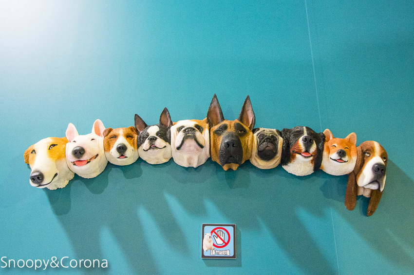 【台北展覽】動物也瘋狂／朝隈俊男的Animal Life～擬人化的動物公仔等你來發揮幽默感，一起瘋狂拍照