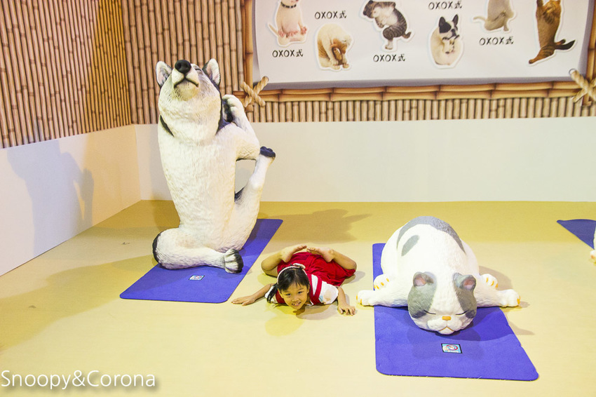 【台北展覽】動物也瘋狂／朝隈俊男的Animal Life～擬人化的動物公仔等你來發揮幽默感，一起瘋狂拍照