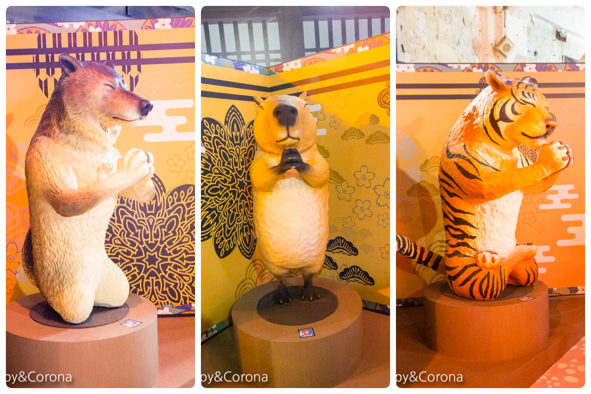 【台北展覽】動物也瘋狂／朝隈俊男的Animal Life～擬人化的動物公仔等你來發揮幽默感，一起瘋狂拍照