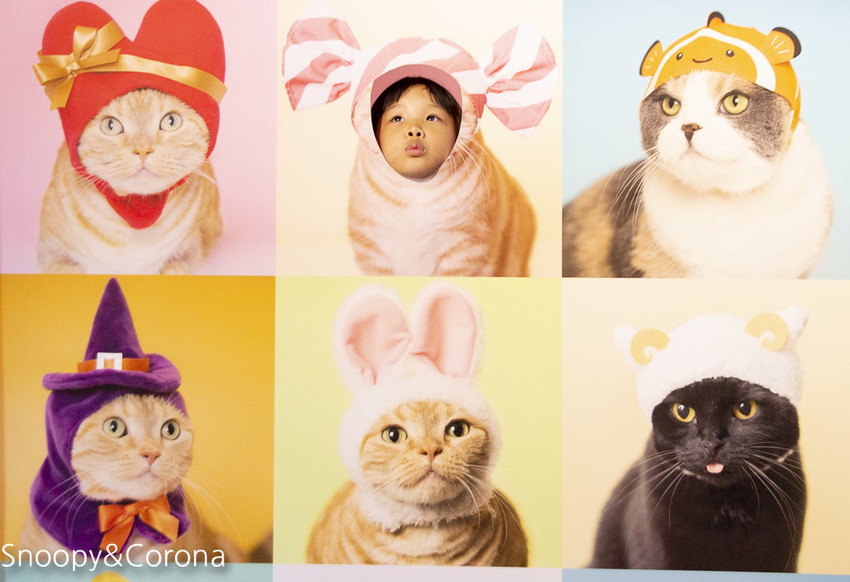 【台北展覽】蛋蛋特展－奇譚俱樂部的扭蛋世界～走進扭蛋世界與扭蛋公仔比萌大PK，還能與杯緣子一起坐旋轉咖啡杯