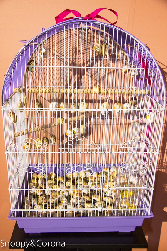 【台北展覽】蛋蛋特展－奇譚俱樂部的扭蛋世界～走進扭蛋世界與扭蛋公仔比萌大PK，還能與杯緣子一起坐旋轉咖啡杯