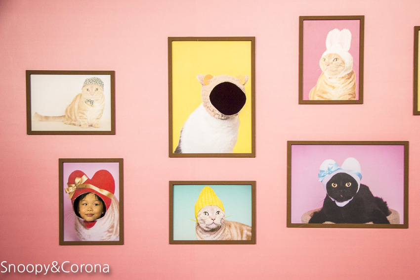 【台北展覽】蛋蛋特展－奇譚俱樂部的扭蛋世界～走進扭蛋世界與扭蛋公仔比萌大PK，還能與杯緣子一起坐旋轉咖啡杯