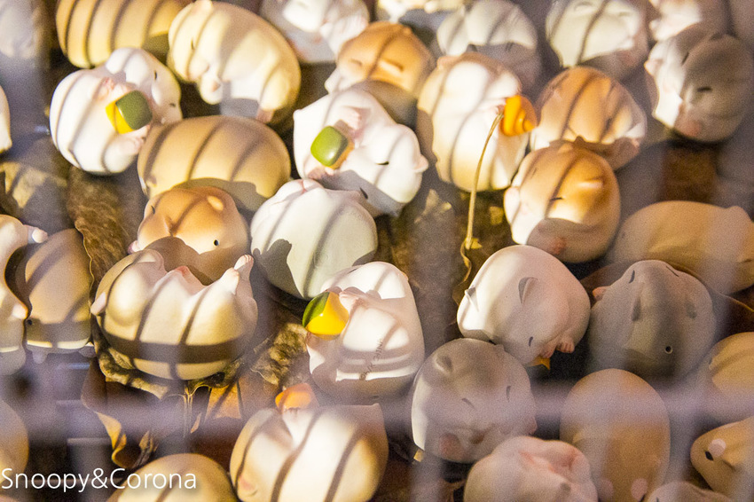 【台北展覽】蛋蛋特展－奇譚俱樂部的扭蛋世界～走進扭蛋世界與扭蛋公仔比萌大PK，還能與杯緣子一起坐旋轉咖啡杯