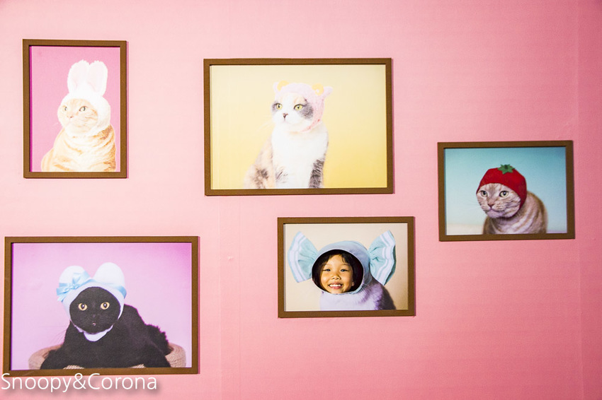 【台北展覽】蛋蛋特展－奇譚俱樂部的扭蛋世界～走進扭蛋世界與扭蛋公仔比萌大PK，還能與杯緣子一起坐旋轉咖啡杯