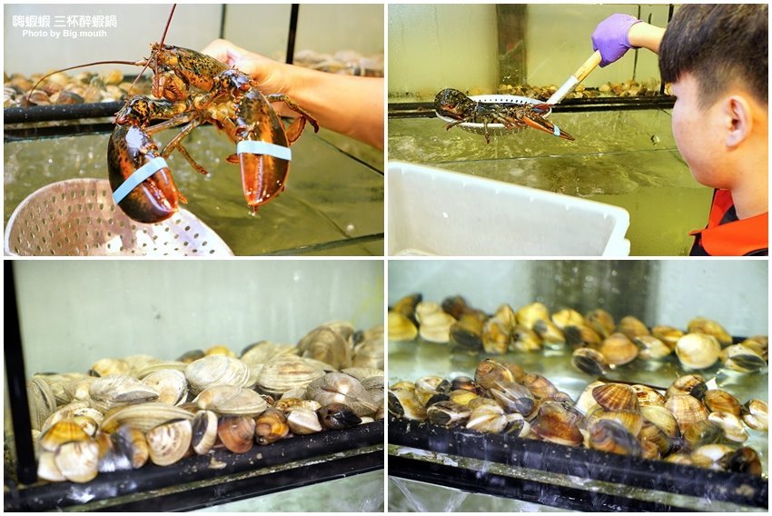 【台北火鍋吃到飽】嗨蝦蝦三杯醉蝦石頭鍋!尾牙.謝師宴.同學會聚餐好去處!