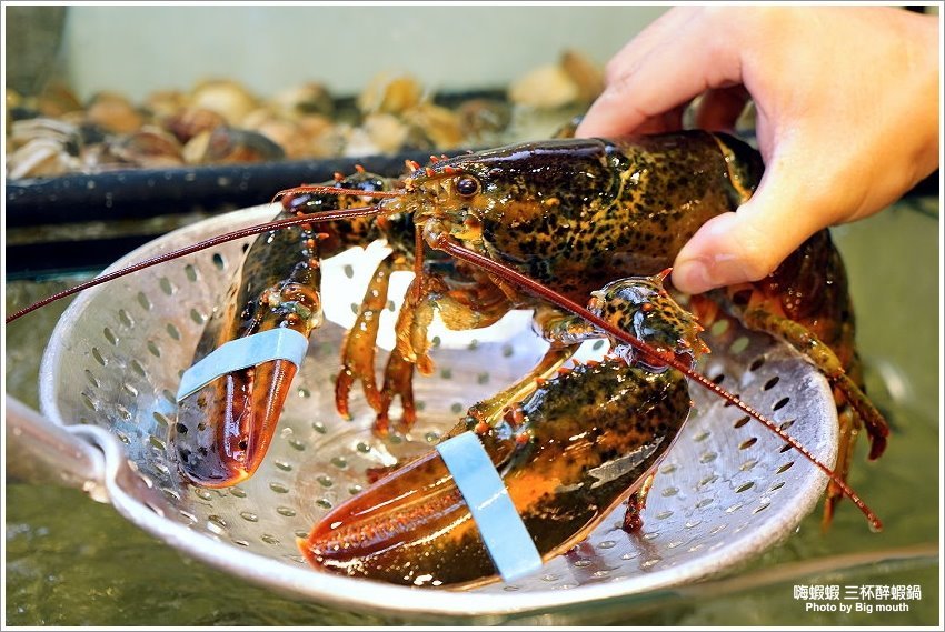 【台北火鍋吃到飽】嗨蝦蝦三杯醉蝦石頭鍋!尾牙.謝師宴.同學會聚餐好去處!