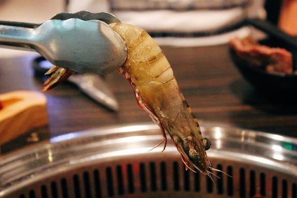 63425673_913210852378631_5745354773784166400_n