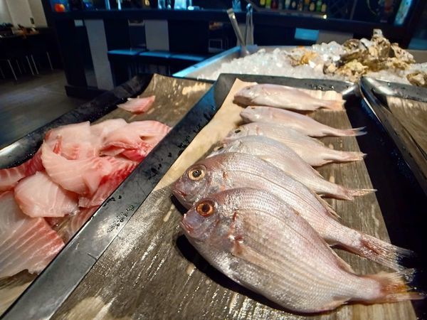 65858998_1537262029737158_8705338872889868288_n