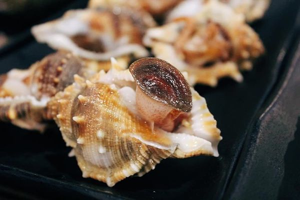 66368060_696359224148867_9201923562884038656_n