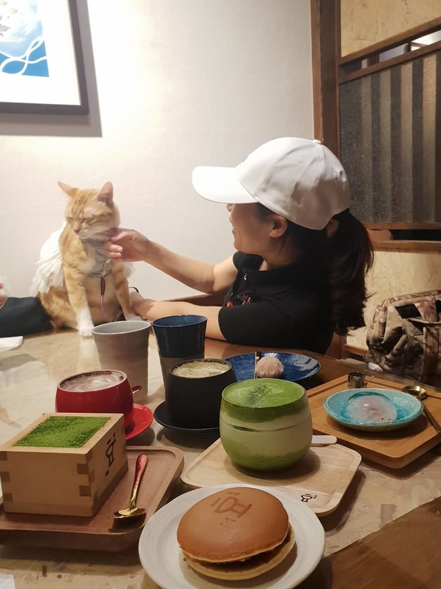 【花蓮.市區】豆和寮日式甜點。寵物友善須裝提籠。推培茶歐蕾+伯爵茶和果子+抹茶提拉米蘇+櫻花水信水餅
