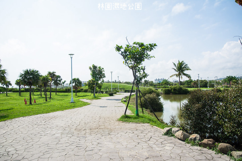 ｜高雄景點｜林園公12海洋濕地公園，全台唯一的水母瀉湖，季節對了就能看見倒立水母 - 阿婷的旅行札記。