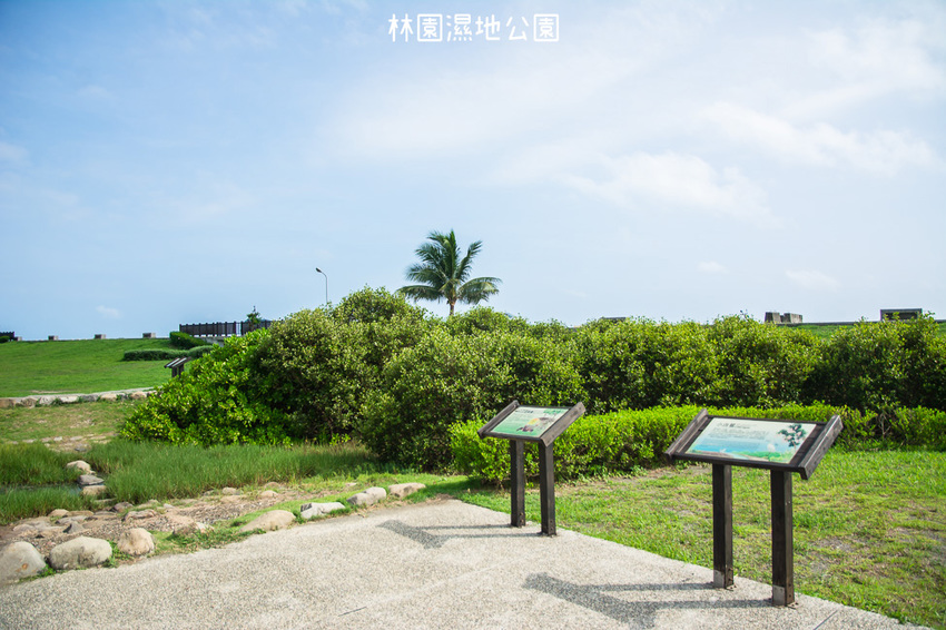 ｜高雄景點｜林園公12海洋濕地公園，全台唯一的水母瀉湖，季節對了就能看見倒立水母 - 阿婷的旅行札記。
