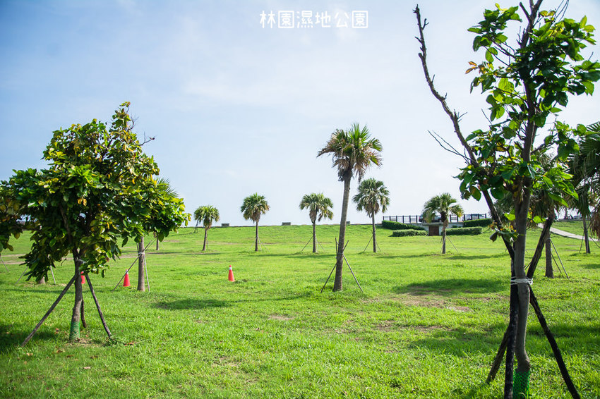 ｜高雄景點｜林園公12海洋濕地公園，全台唯一的水母瀉湖，季節對了就能看見倒立水母 - 阿婷的旅行札記。
