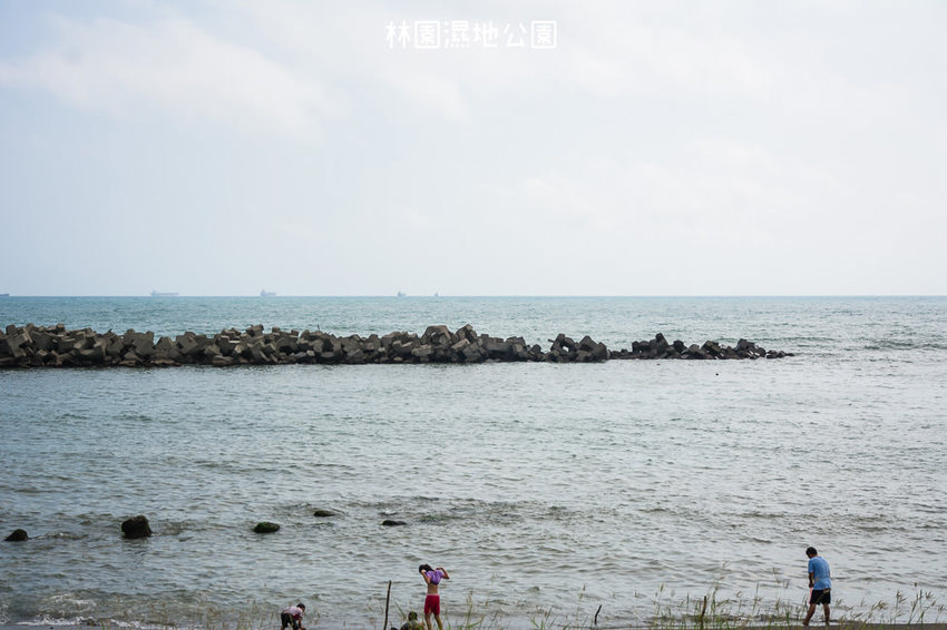 ｜高雄景點｜林園公12海洋濕地公園，全台唯一的水母瀉湖，季節對了就能看見倒立水母 - 阿婷的旅行札記。