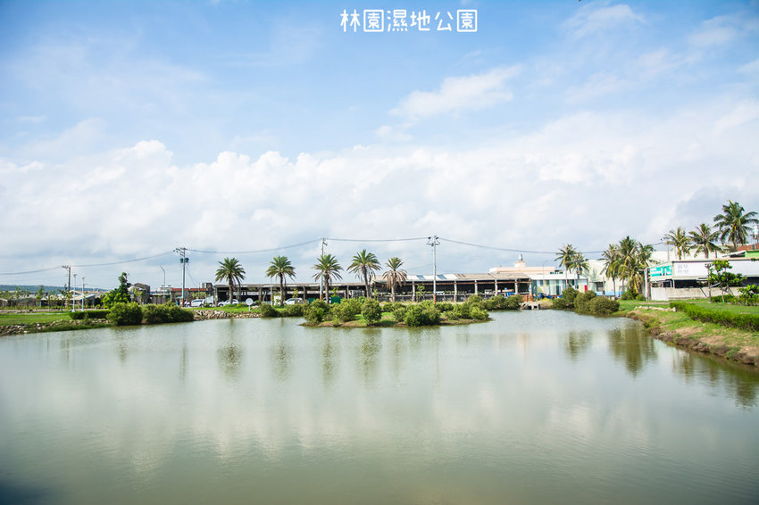 ｜高雄景點｜林園公12海洋濕地公園，全台唯一的水母瀉湖，季節對了就能看見倒立水母 - 阿婷的旅行札記。