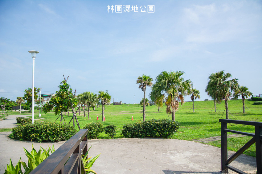 ｜高雄景點｜林園公12海洋濕地公園，全台唯一的水母瀉湖，季節對了就能看見倒立水母 - 阿婷的旅行札記。