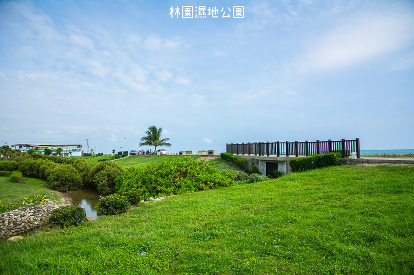 ｜高雄景點｜林園公12海洋濕地公園，全台唯一的水母瀉湖，季節對了就能看見倒立水母 - 阿婷的旅行札記。