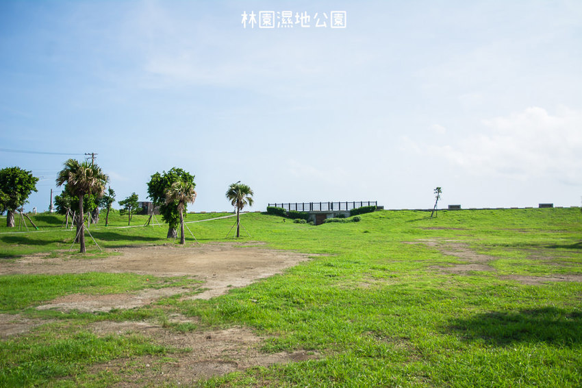 ｜高雄景點｜林園公12海洋濕地公園，全台唯一的水母瀉湖，季節對了就能看見倒立水母 - 阿婷的旅行札記。