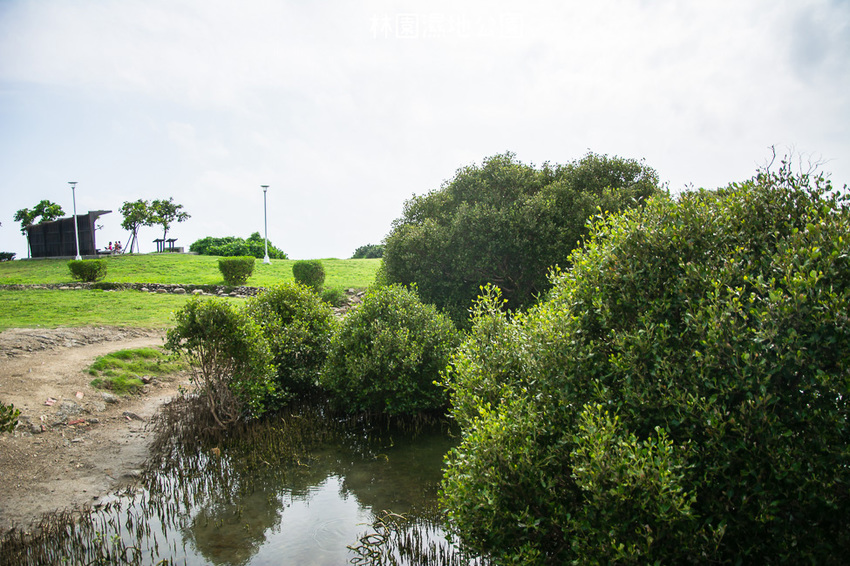 ｜高雄景點｜林園公12海洋濕地公園，全台唯一的水母瀉湖，季節對了就能看見倒立水母 - 阿婷的旅行札記。