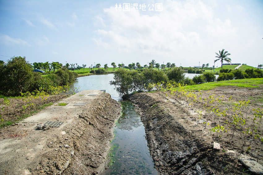 ｜高雄景點｜林園公12海洋濕地公園，全台唯一的水母瀉湖，季節對了就能看見倒立水母 - 阿婷的旅行札記。