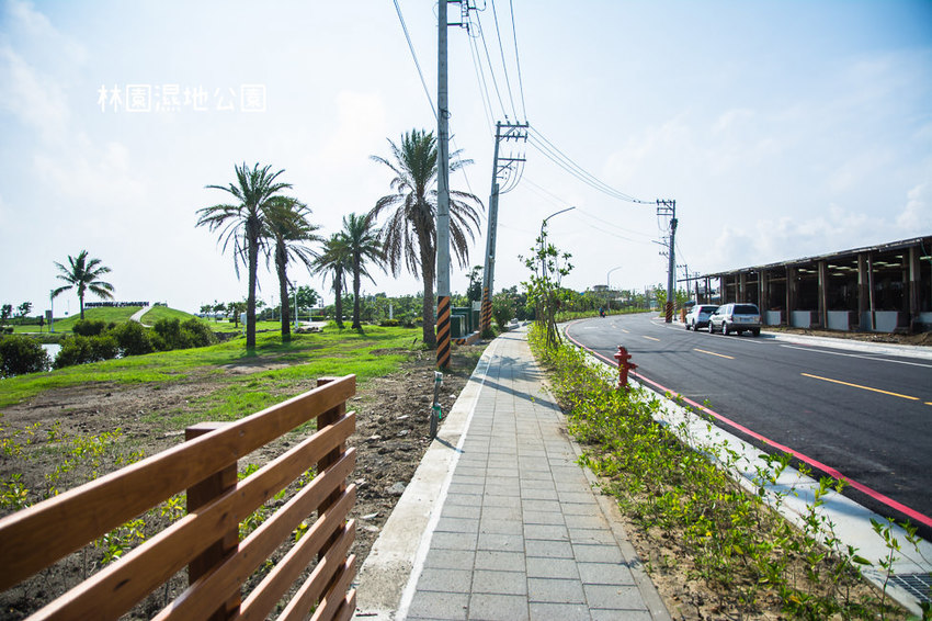 ｜高雄景點｜林園公12海洋濕地公園，全台唯一的水母瀉湖，季節對了就能看見倒立水母 - 阿婷的旅行札記。