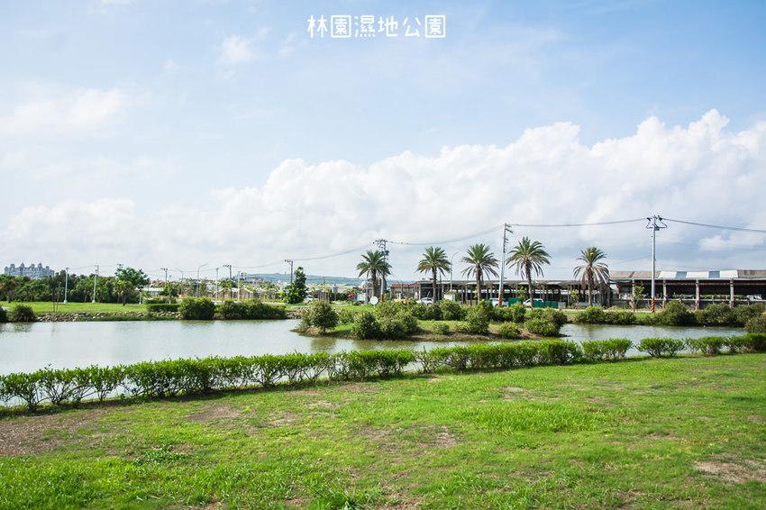 ｜高雄景點｜林園公12海洋濕地公園，全台唯一的水母瀉湖，季節對了就能看見倒立水母 - 阿婷的旅行札記。