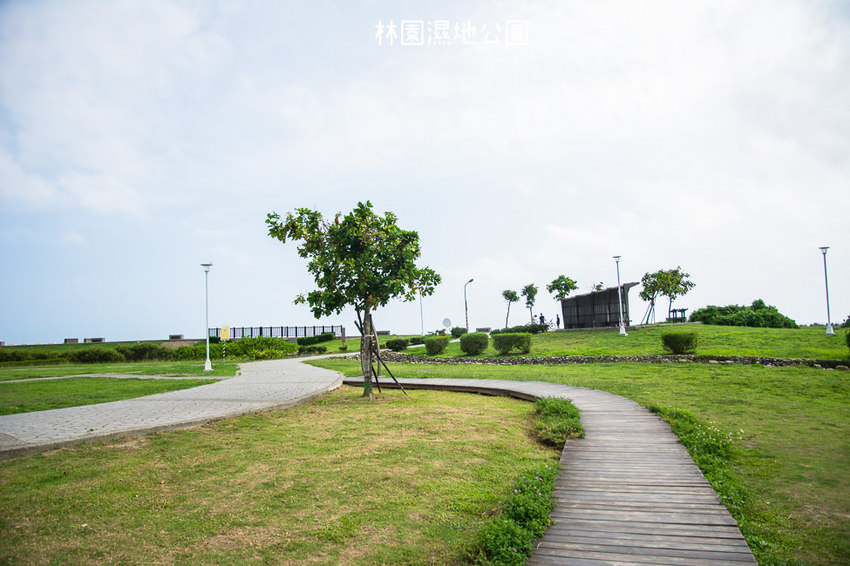 ｜高雄景點｜林園公12海洋濕地公園，全台唯一的水母瀉湖，季節對了就能看見倒立水母 - 阿婷的旅行札記。