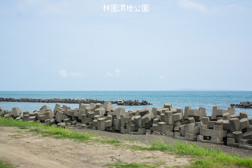 ｜高雄景點｜林園公12海洋濕地公園，全台唯一的水母瀉湖，季節對了就能看見倒立水母 - 阿婷的旅行札記。