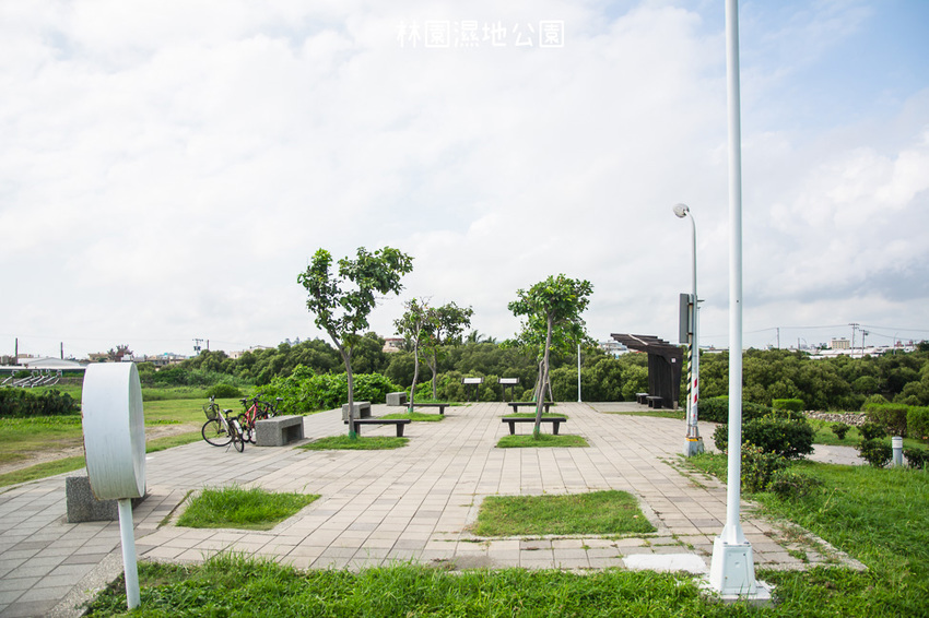 ｜高雄景點｜林園公12海洋濕地公園，全台唯一的水母瀉湖，季節對了就能看見倒立水母 - 阿婷的旅行札記。