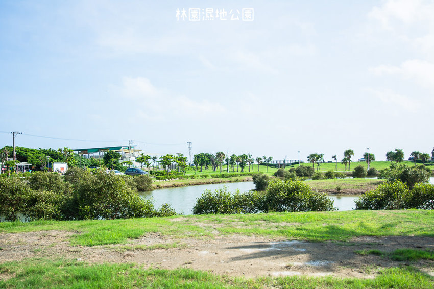 ｜高雄景點｜林園公12海洋濕地公園，全台唯一的水母瀉湖，季節對了就能看見倒立水母 - 阿婷的旅行札記。
