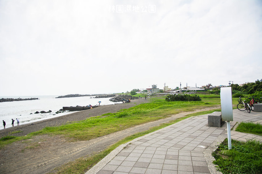 ｜高雄景點｜林園公12海洋濕地公園，全台唯一的水母瀉湖，季節對了就能看見倒立水母 - 阿婷的旅行札記。