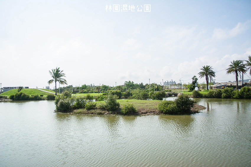 ｜高雄景點｜林園公12海洋濕地公園，全台唯一的水母瀉湖，季節對了就能看見倒立水母 - 阿婷的旅行札記。