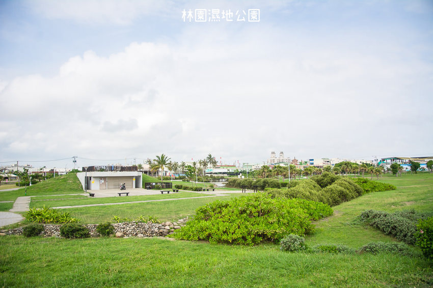｜高雄景點｜林園公12海洋濕地公園，全台唯一的水母瀉湖，季節對了就能看見倒立水母 - 阿婷的旅行札記。