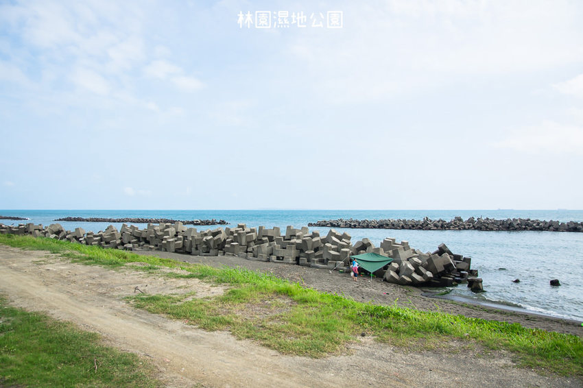 ｜高雄景點｜林園公12海洋濕地公園，全台唯一的水母瀉湖，季節對了就能看見倒立水母 - 阿婷的旅行札記。