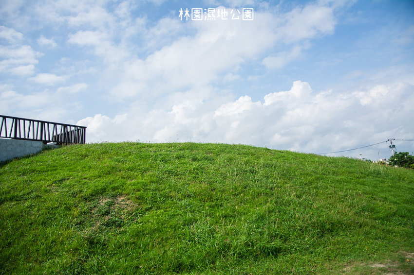 ｜高雄景點｜林園公12海洋濕地公園，全台唯一的水母瀉湖，季節對了就能看見倒立水母 - 阿婷的旅行札記。
