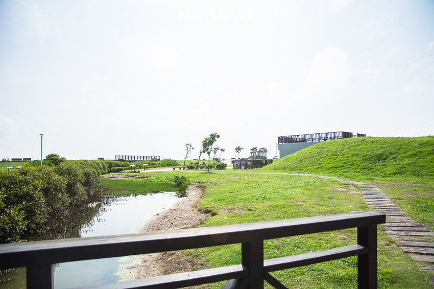 ｜高雄景點｜林園公12海洋濕地公園，全台唯一的水母瀉湖，季節對了就能看見倒立水母 - 阿婷的旅行札記。