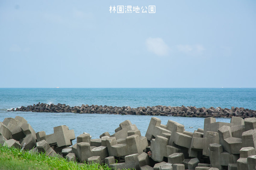 ｜高雄景點｜林園公12海洋濕地公園，全台唯一的水母瀉湖，季節對了就能看見倒立水母 - 阿婷的旅行札記。