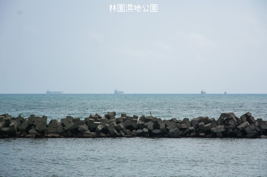 ｜高雄景點｜林園公12海洋濕地公園，全台唯一的水母瀉湖，季節對了就能看見倒立水母 - 阿婷的旅行札記。