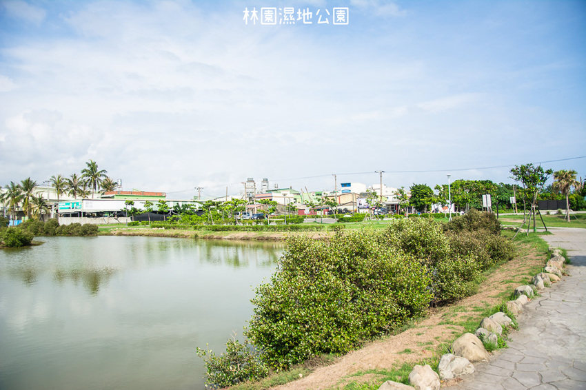 ｜高雄景點｜林園公12海洋濕地公園，全台唯一的水母瀉湖，季節對了就能看見倒立水母 - 阿婷的旅行札記。
