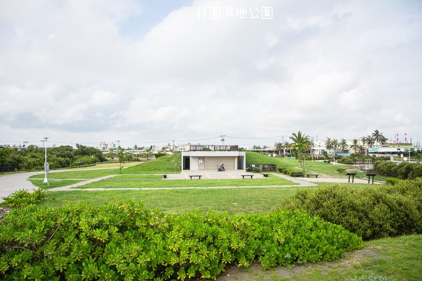 ｜高雄景點｜林園公12海洋濕地公園，全台唯一的水母瀉湖，季節對了就能看見倒立水母 - 阿婷的旅行札記。