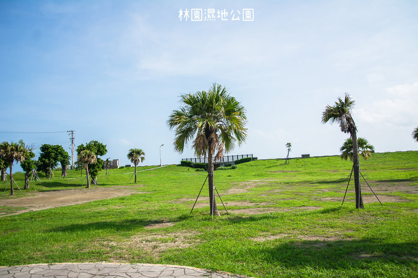 ｜高雄景點｜林園公12海洋濕地公園，全台唯一的水母瀉湖，季節對了就能看見倒立水母 - 阿婷的旅行札記。