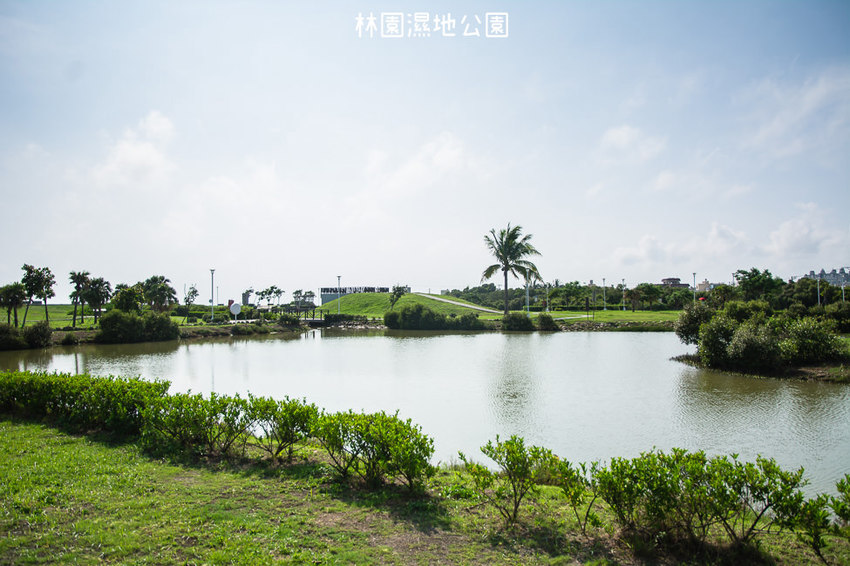 ｜高雄景點｜林園公12海洋濕地公園，全台唯一的水母瀉湖，季節對了就能看見倒立水母 - 阿婷的旅行札記。