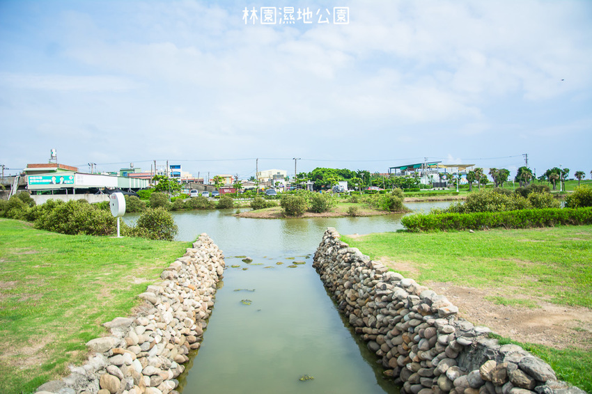 ｜高雄景點｜林園公12海洋濕地公園，全台唯一的水母瀉湖，季節對了就能看見倒立水母 - 阿婷的旅行札記。