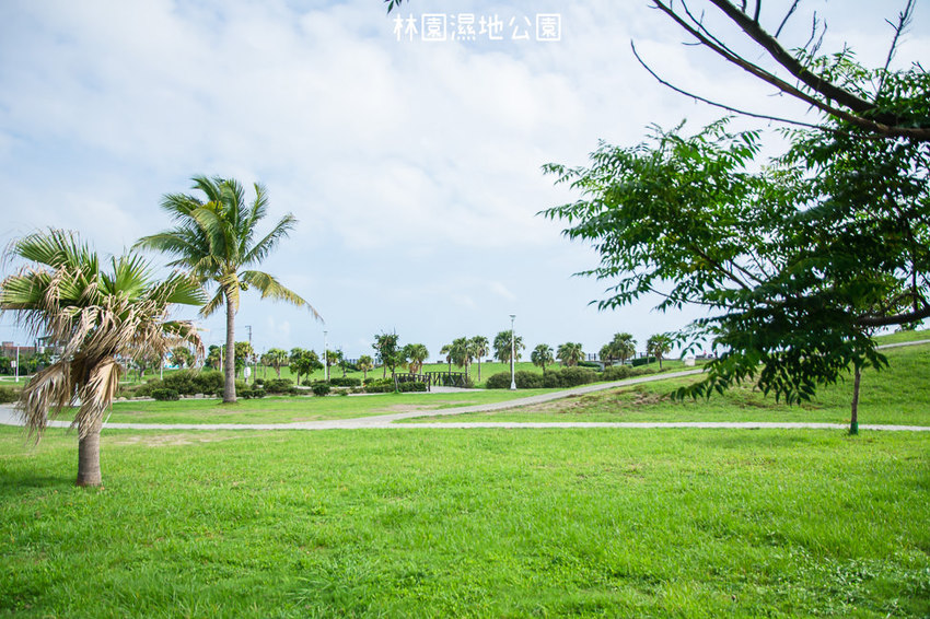 ｜高雄景點｜林園公12海洋濕地公園，全台唯一的水母瀉湖，季節對了就能看見倒立水母 - 阿婷的旅行札記。